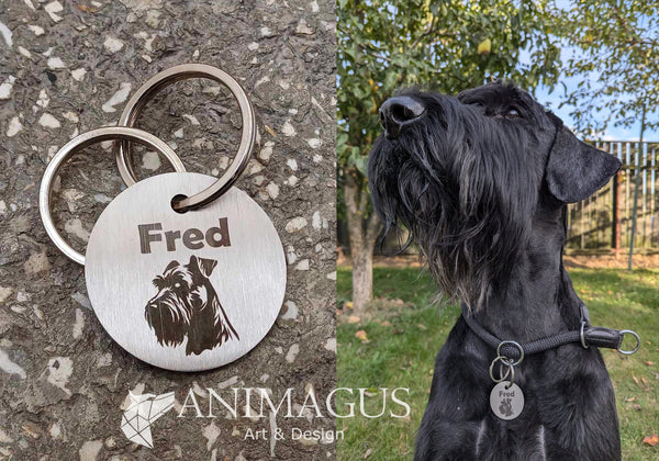 Medalion Personalizat - Schnauzer