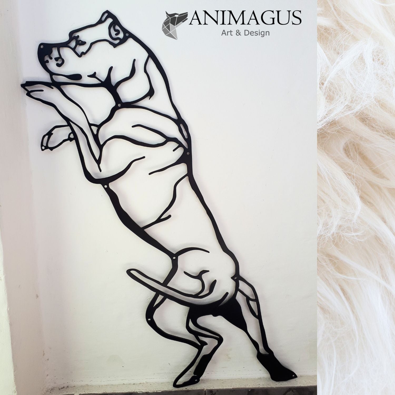 Dog Argentinian - Placa Metalica Decorativa