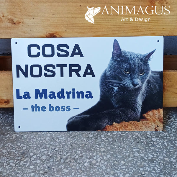 Placa Amuzament - Tablou Personalizat - Pisici