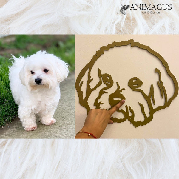 Bichon - Placa Decorativa Personalizata