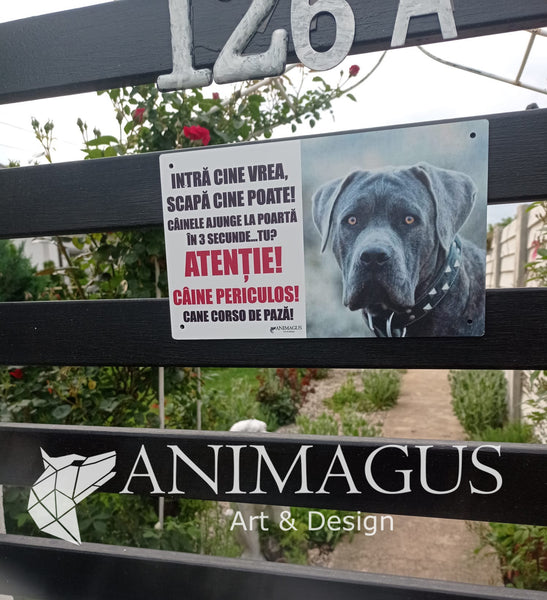 Placa Avertizare Cane Corso - Ajunge in 3 secunde!