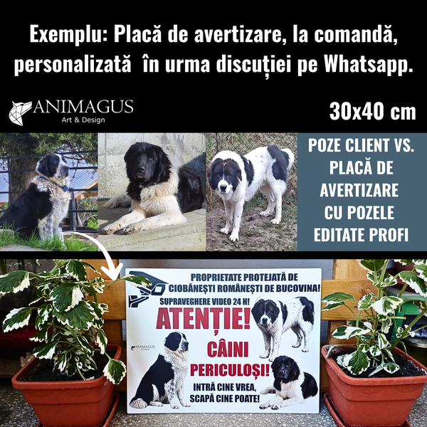 Placa Avertizare Ciobanesc Romanesc de Bucovina - 3 variante