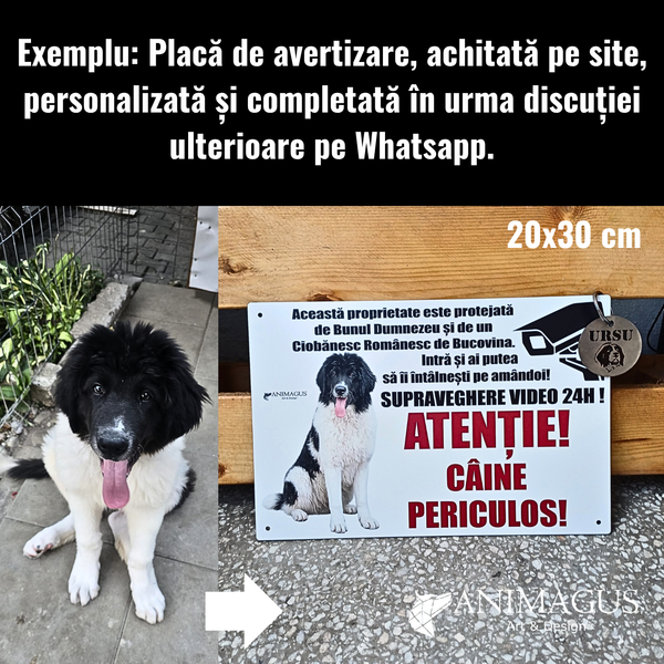 Placa Avertizare Ciobanesc Romanesc de Bucovina - Pazita de amandoi!