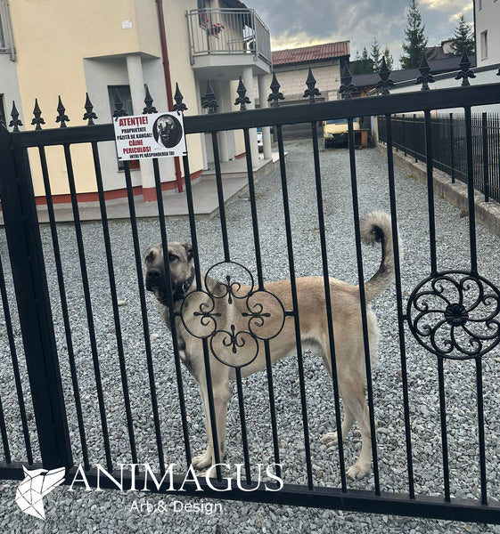 Placa Avertizare Kangal - Intra cine vrea!