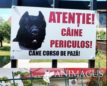 Placa Avertizare Cane Corso - simpla 4 variante