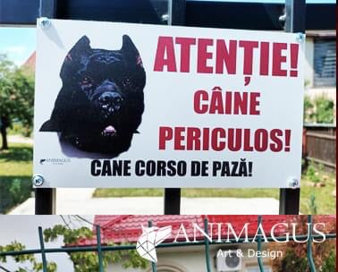 Placa Avertizare Cane Corso - simpla 4 variante