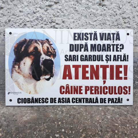 Placa Avertizare Ciobanesc de Asia Centrala - Exista viata dupa moarte?