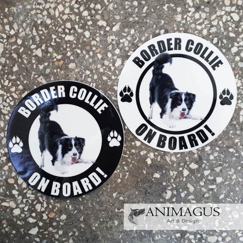 Border Collie Sticker Auto - diverse modele