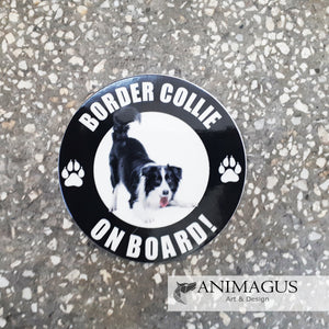 Border Collie Sticker Auto - diverse modele