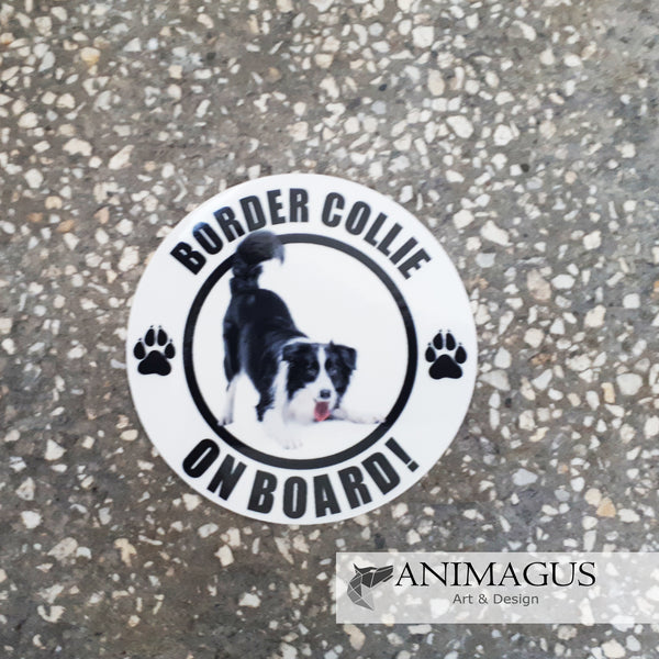 Border Collie Sticker Auto - diverse modele
