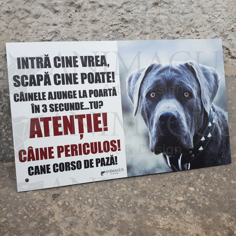 Placa Avertizare Cane Corso - Ajunge in 3 secunde!