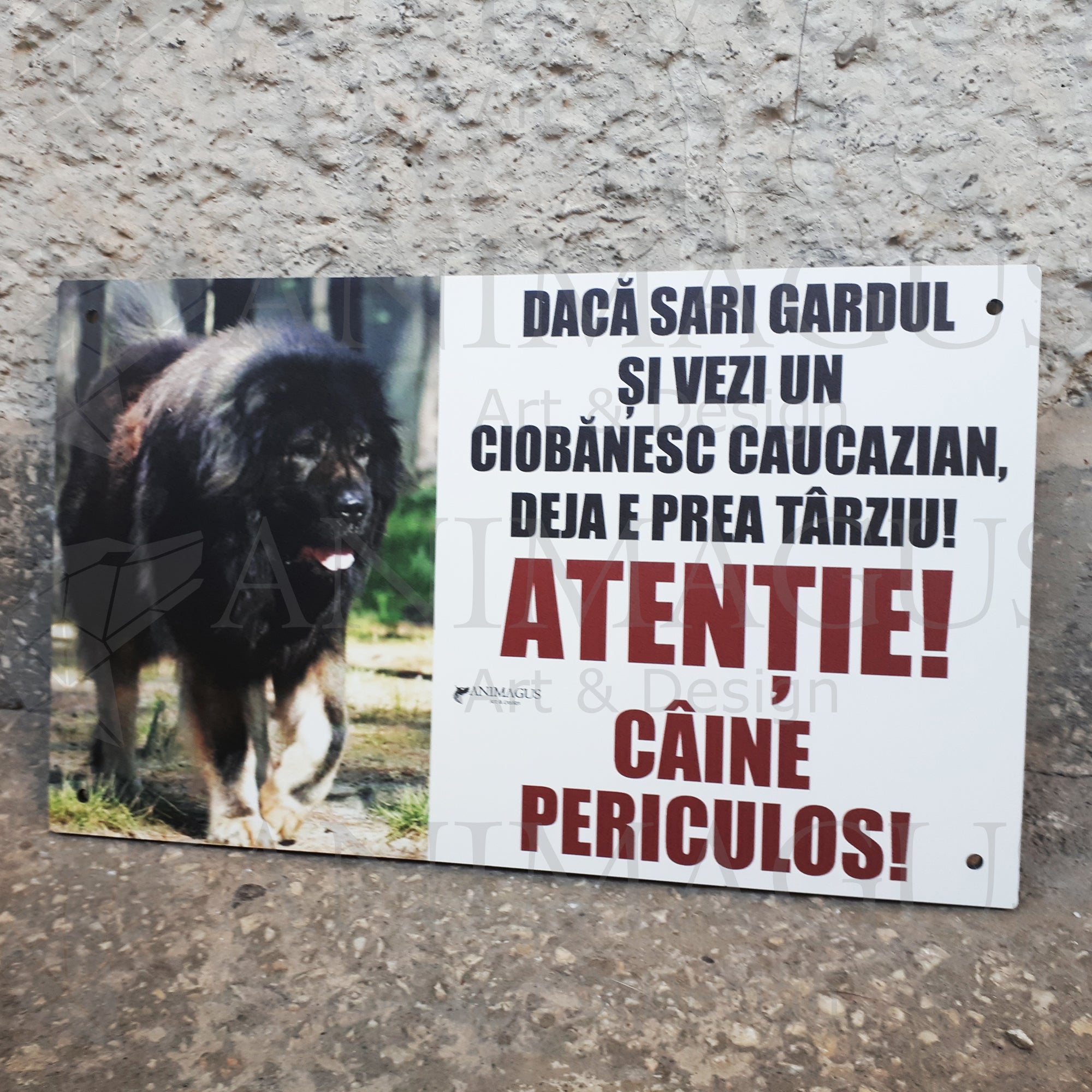 Placa Avertizare Ciobanesc Caucazian - Daca sari gardul