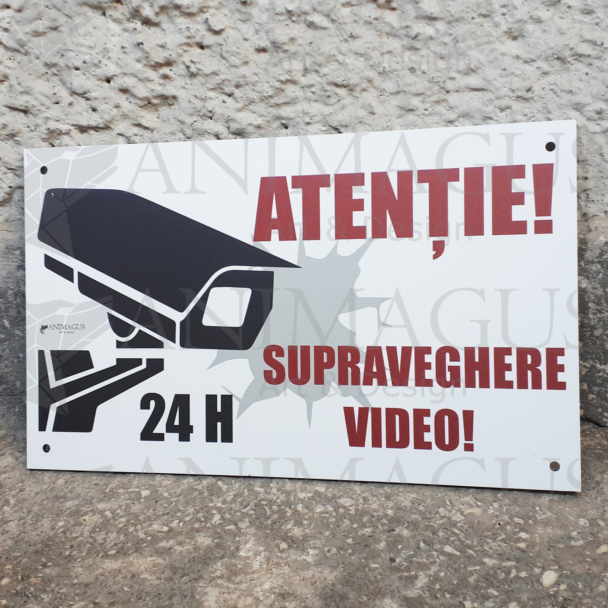 Placa Supraveghere Video